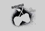 Silver Apples (U.S.) live
