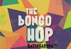 The Bongo Hop (FR - live) + guests 