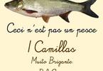 I Camillas / Muito Brigante / Bob Corn IN CONCERTO