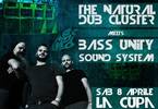 The Natural Dub Cluster meets Bass Unity Sound System