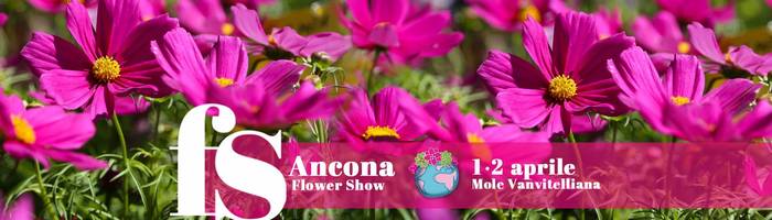 Ancona Flower Show