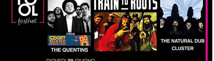 Train to Roots & Natural Dub Cluster / Fool Festival