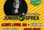 Reggae & Dancehall Night feat Junior Sprea.