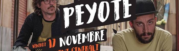 Willie Peyote in concerto