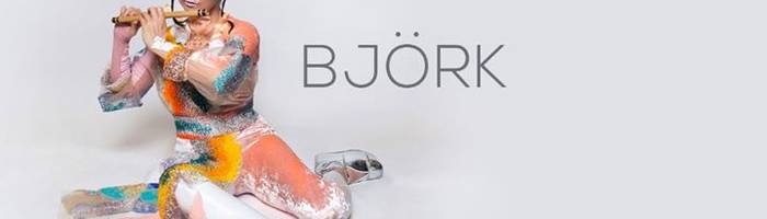 Björk at Just Music Festival