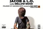 DubFiles: Paolo Baldini feat Jacob & L.O. from Mellow Mood