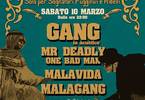 The Gang / Mr. Deadly / Malavida / Malagang / & many many djs