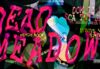 Dead Meadow, US psych - Matador + Trans Van Santos, US