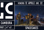 SpaceCakes a La Cambora