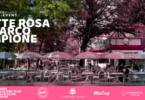 La notte rosa in Parco Sempione. Aperitivo, live music & dj set.