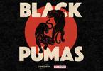 Black Pumas in concerto a Milano | Circolo Magnolia