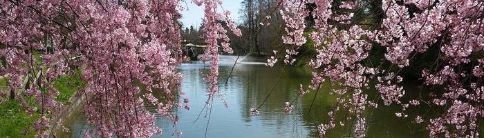 I Giardini Margherita, il luogo del cuore dei bolognesi