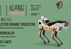 𝗞𝗹𝗮𝗻𝗴 pr. Electro Organic Orchestra| Grumvalski| Lazy Ants
