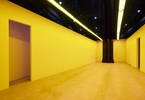 BRUCE NAUMAN Neons Corridors Rooms